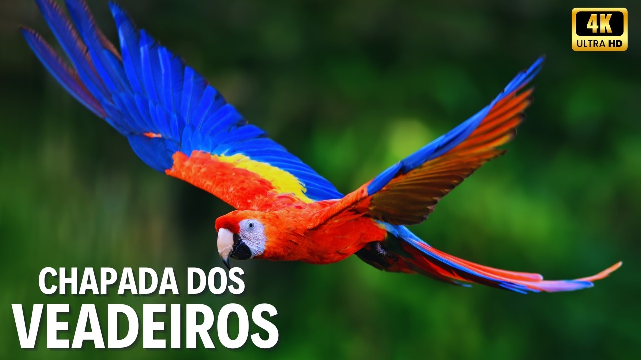 🌄 CHAPADA DOS VEADEIROS | Onde o Céu Desce à Terra e a Natureza Guarda Seus Segredos