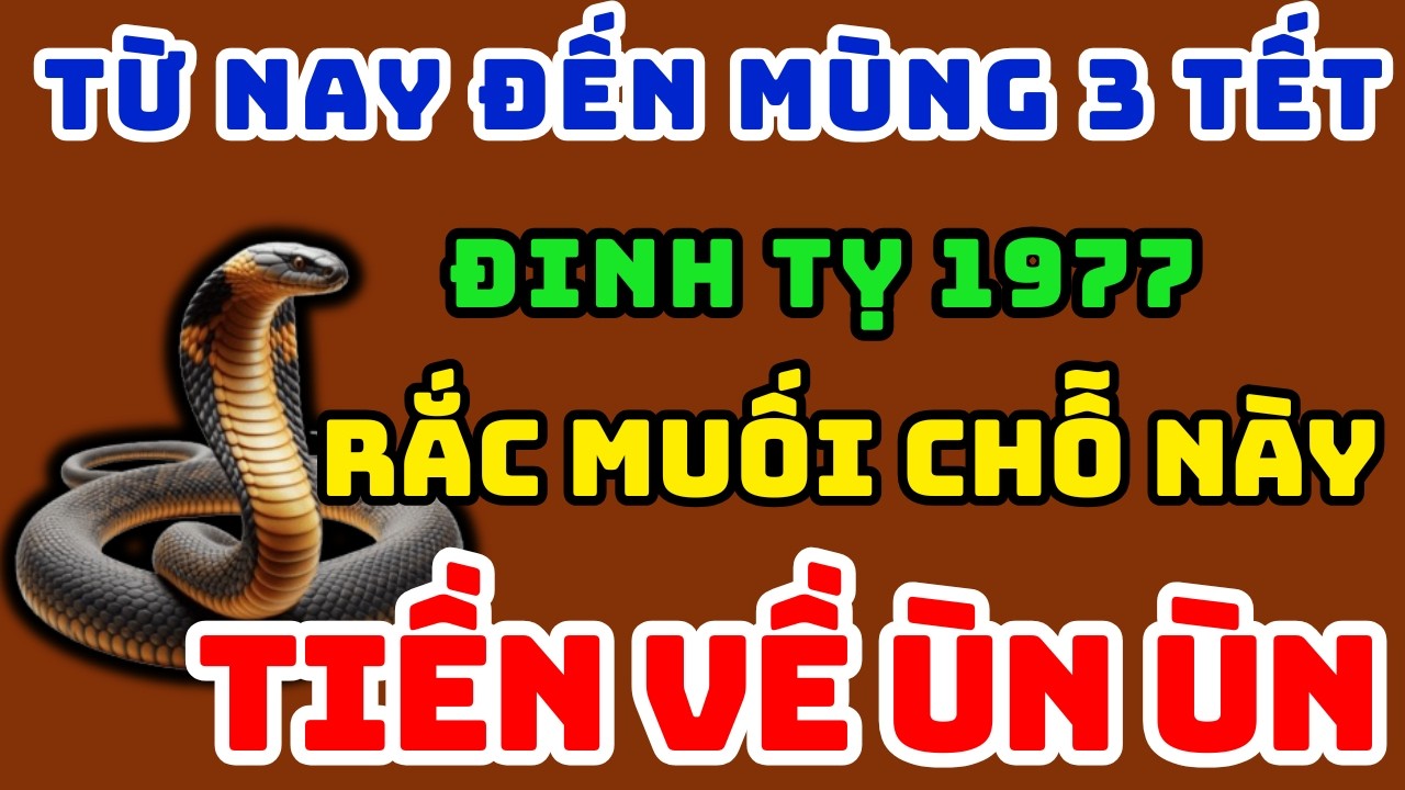 Đinh Tỵ 1977 từ Nay đến mùng 3 Tết Lén Rắc Muối 7 Chỗ Này, Tiền Tài Kéo Về, Cả năm sung sướng