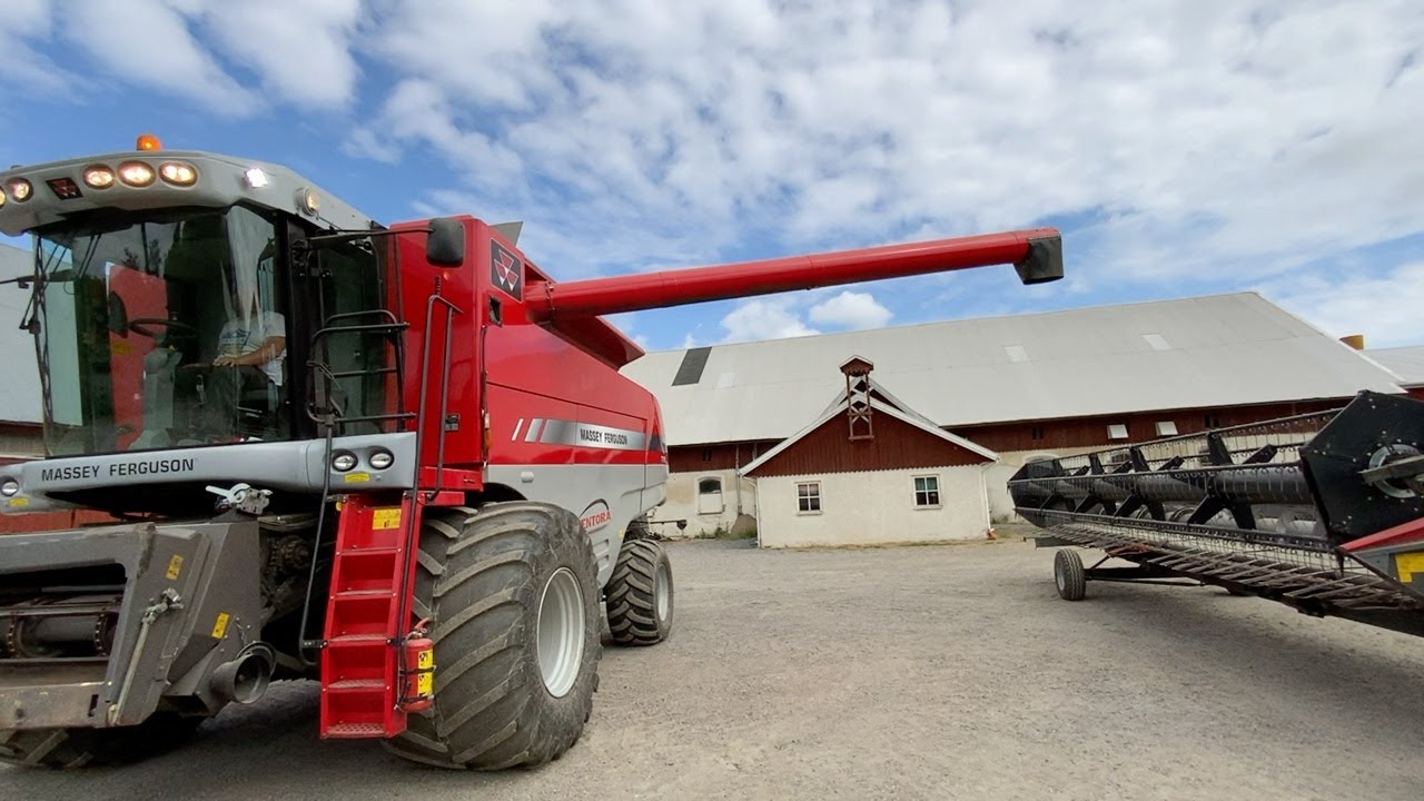 Köp Skördetröska Massey Ferguson Centora 7282 på Klaravik