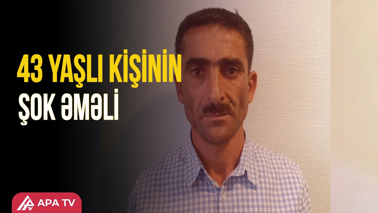 Kənd sakini meşədə plantasiya saldı – APA TV