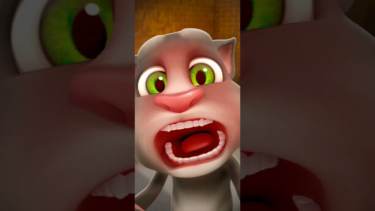 Talking Tom Cat New Video Best Funny Android GamePlay #9219