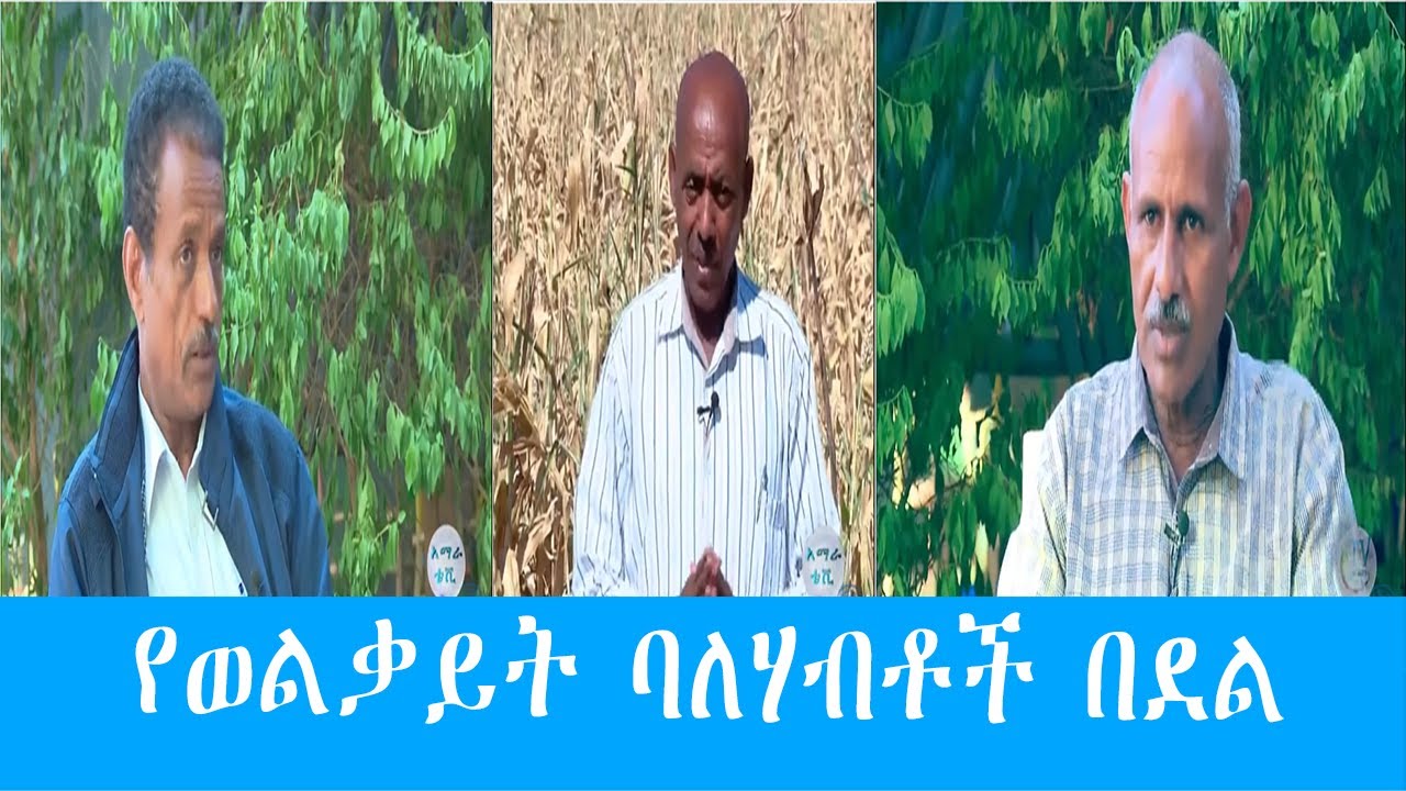 የወልቃይት ባለሃብቶች በደል
