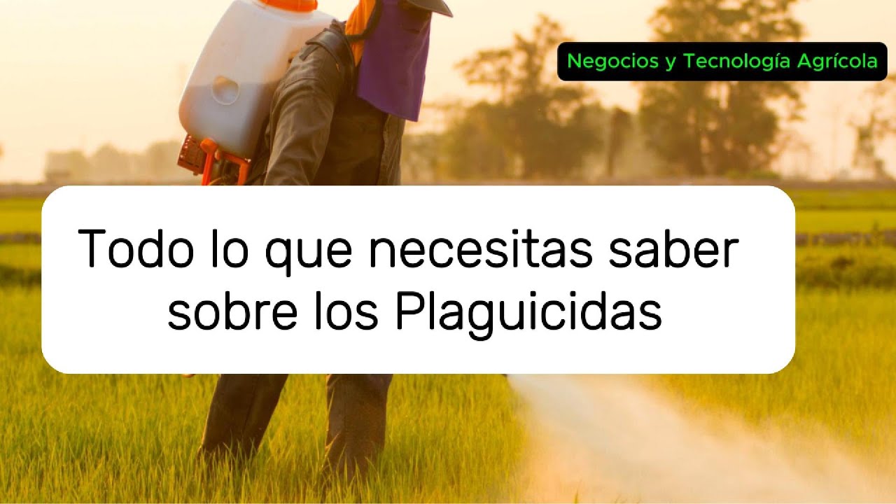Plaguicidas: lo que necesitas saber
