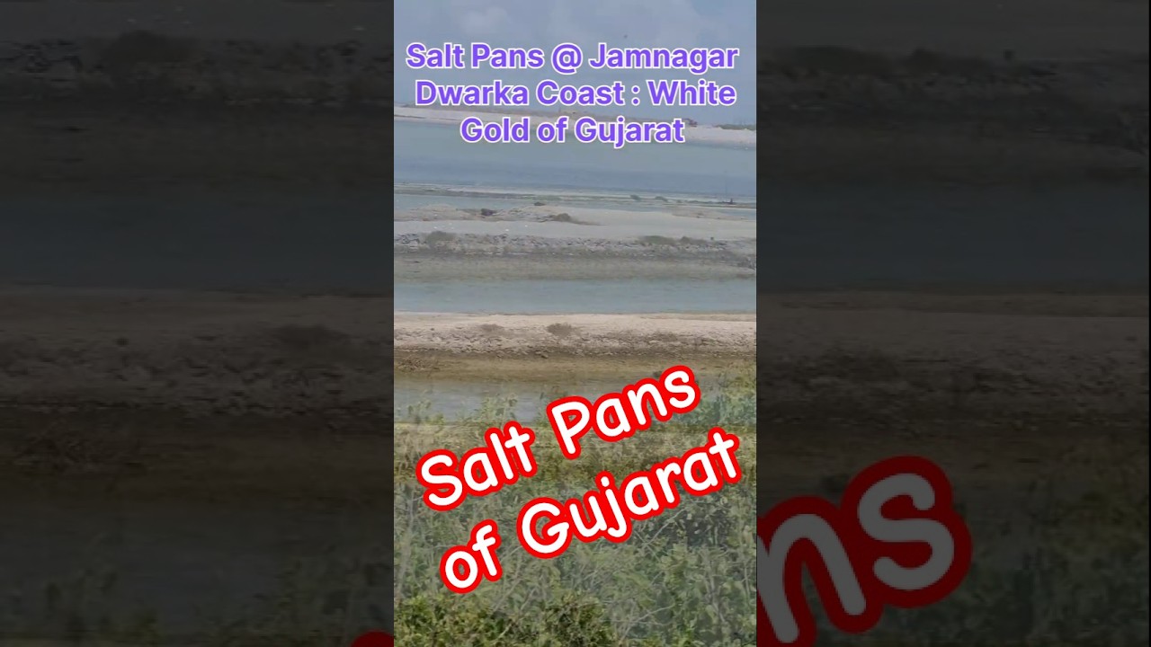 White Gold of Gujarat: Salt Pans @ Jamnagar to Dwarka Coast line sea shore 