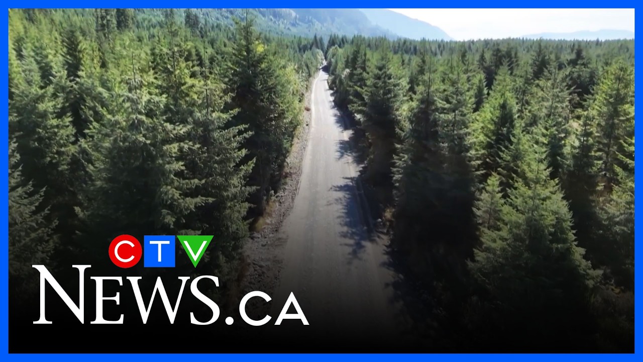 'We have no time to waste' - Vancouver Island communities push for alternate route after closures