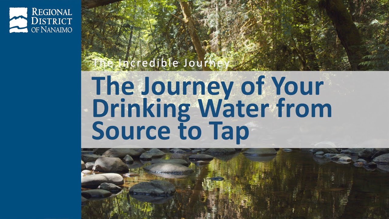 The Journey of Your Drinking Water from Source to Tap