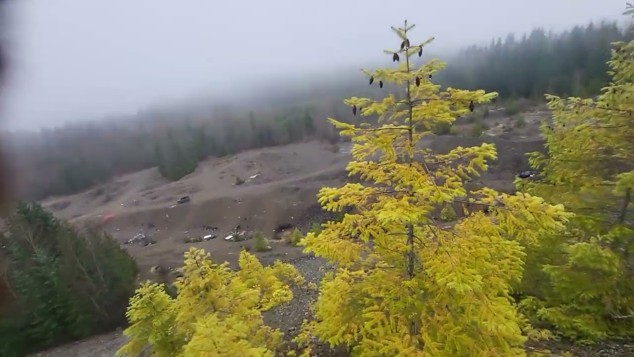 Almost taken out by a big Rock !! On the mountain ✨️ going downhill 😁
