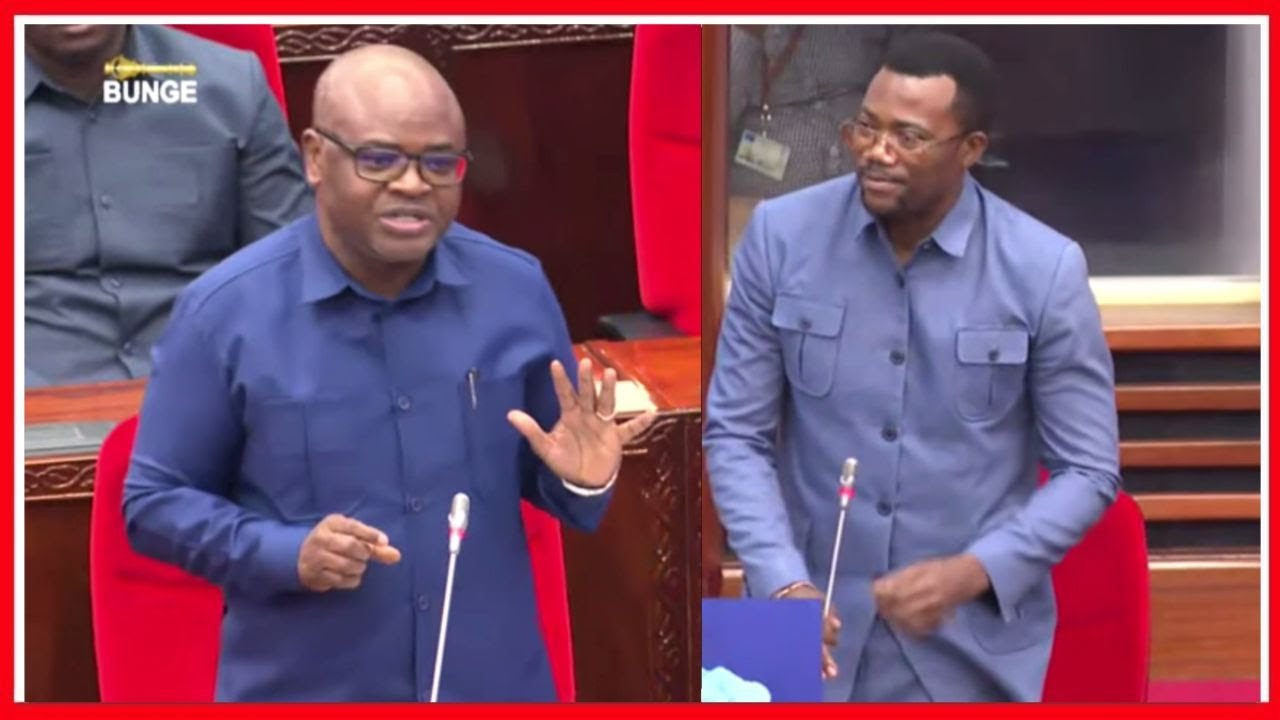 NONDO za KIPROFESA za KITILA MKUMBO AKIJIBU TUHUMA NZITO za NCHI KUFA na MATRILIONI KUIBIWA...