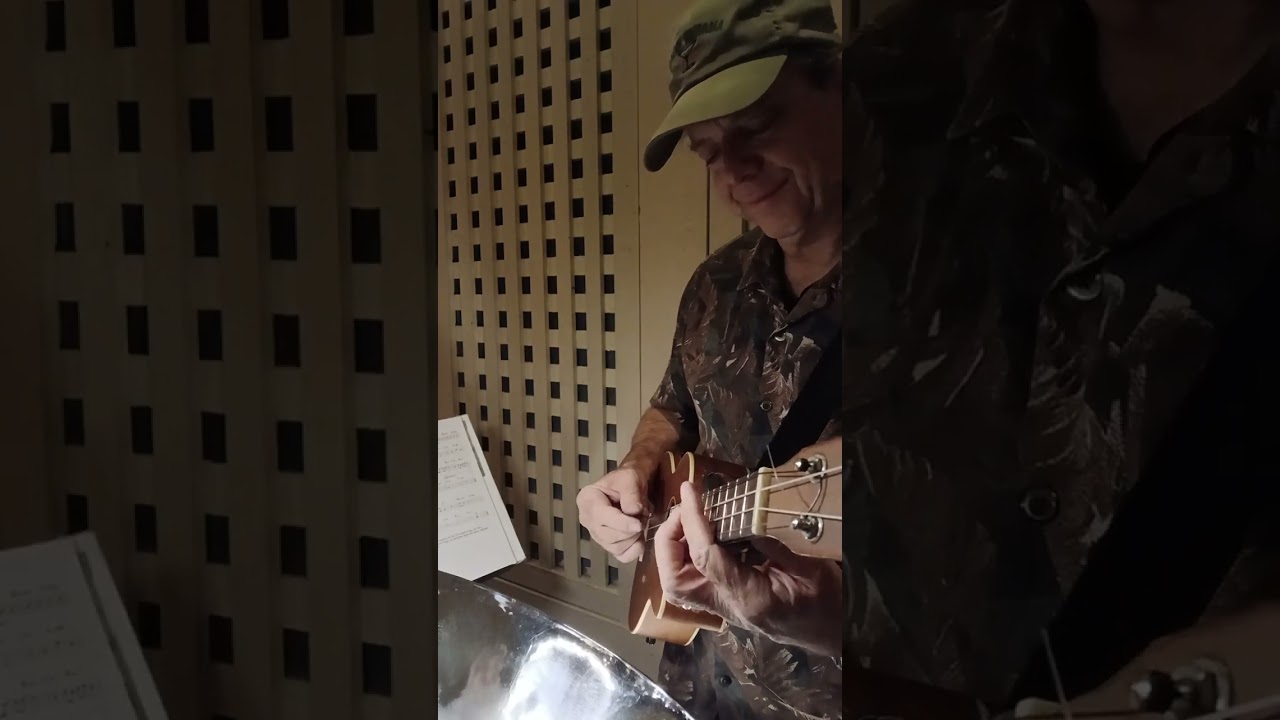 Three Little Birds played on Ukulele by Sean M Live at Tommy Bahamas!