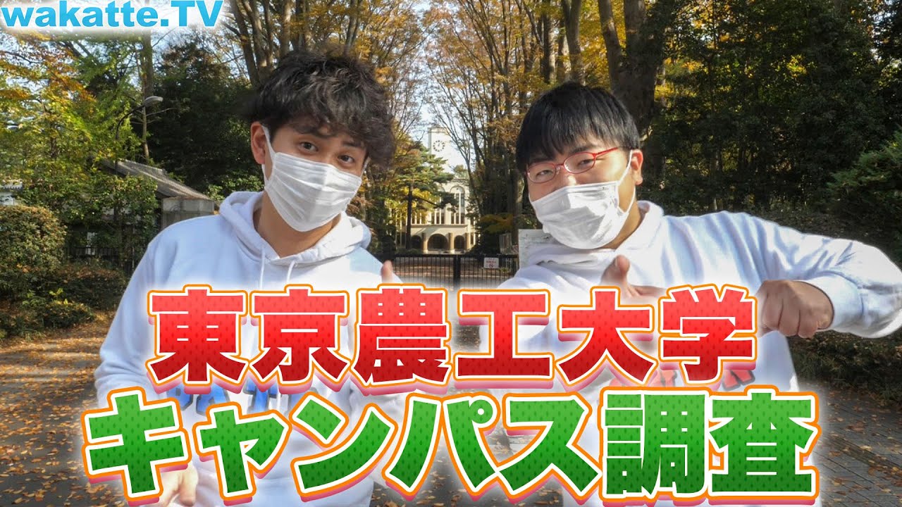 地味に理系3番目の偏差値？東京農工大学を徹底調査！【wakatte.TV】#460