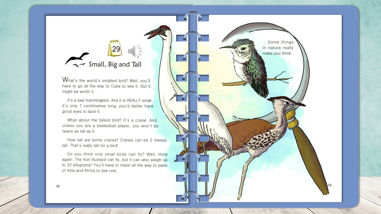 One Story a day  - level 2 book 11 for November - Story 29: Small big and Tall