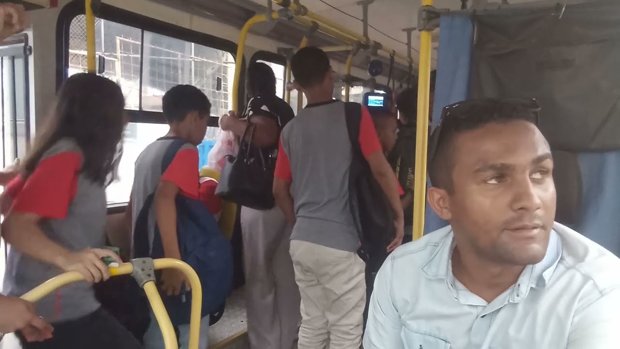 Zimazao motorista coletivo