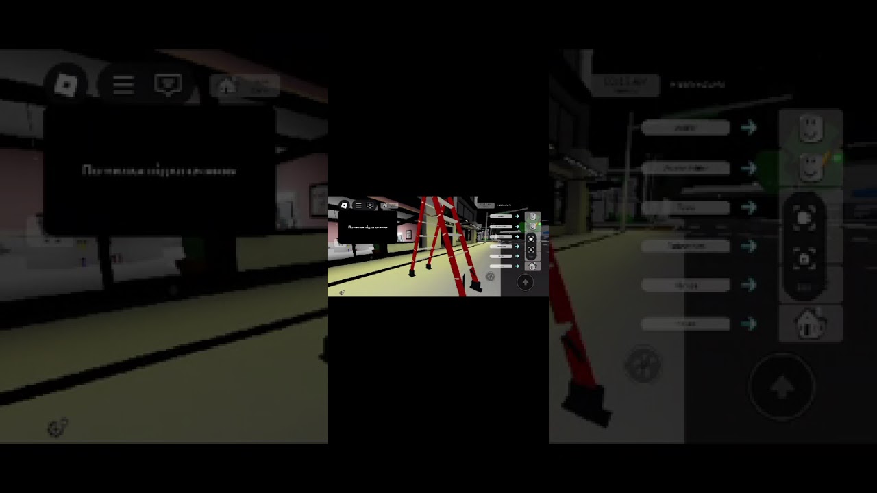 Віра грає в Roblox 
