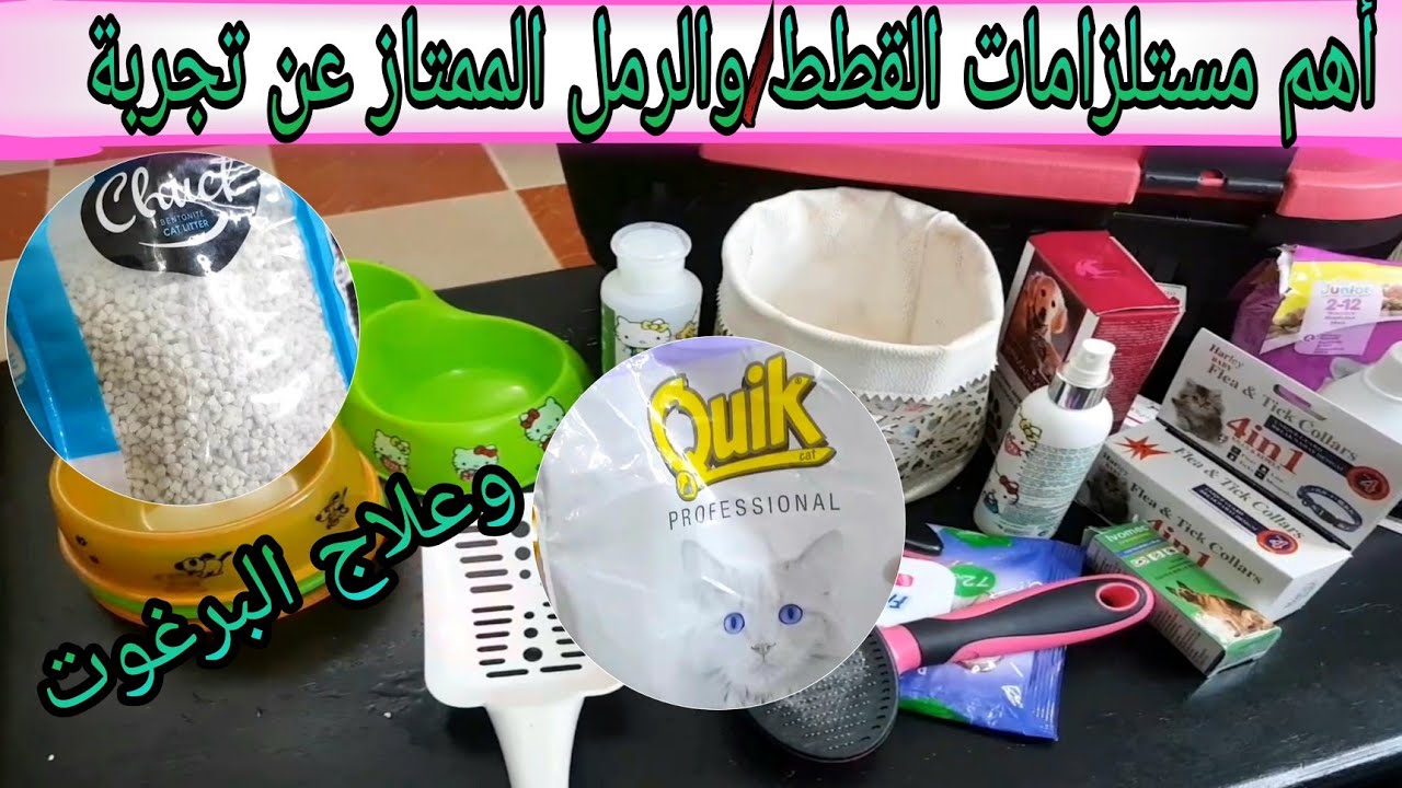 أهم مستلزمات القطط😻والرمل الممتاز❤/ وبعض النصائح عن علاج البرغوت😻😻