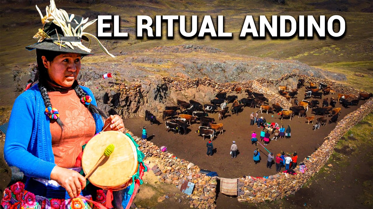 HERRANZA ANDINA: el ritual del hombre y sus animales en los Andes | Huancavelica | DOCUMENTAL