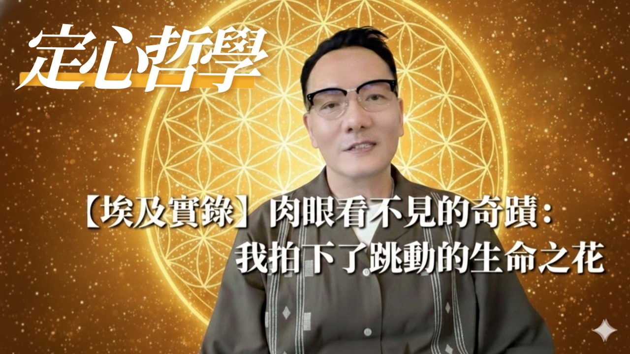 生命的源頭：生命之花——揭開宇宙的神聖幾何，我在埃及見證的靈魂真相