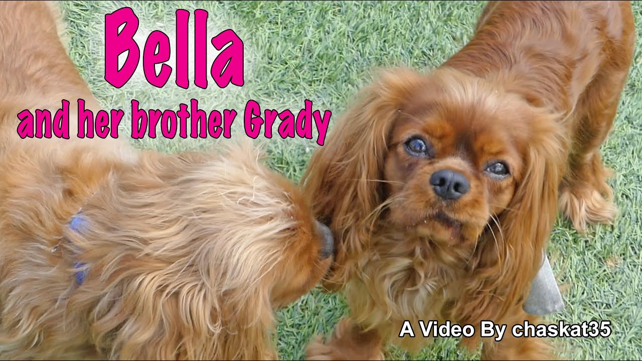Bella and her brother Grady