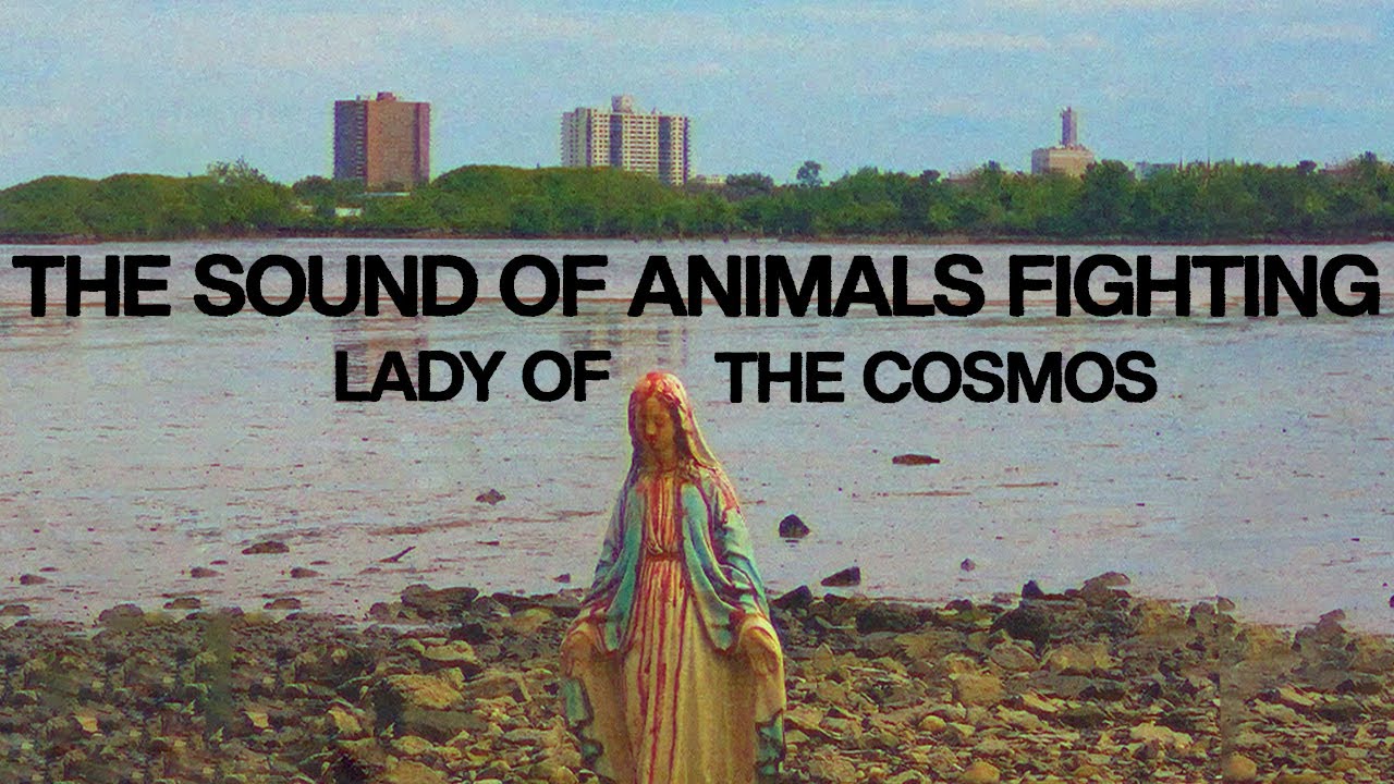 The Sound of Animals Fighting - Lady of the Cosmos (Official Video)