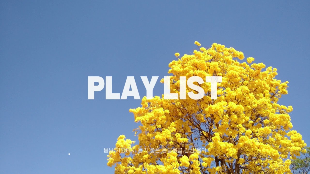 Soft Spring Vibes 🌸 봄에 듣기 좋은 따뜻한 감성 음악 플레이리스트
