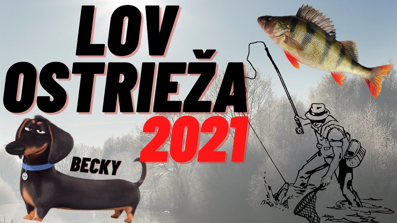 LOV-Ostrieža-2021-spinning fishing