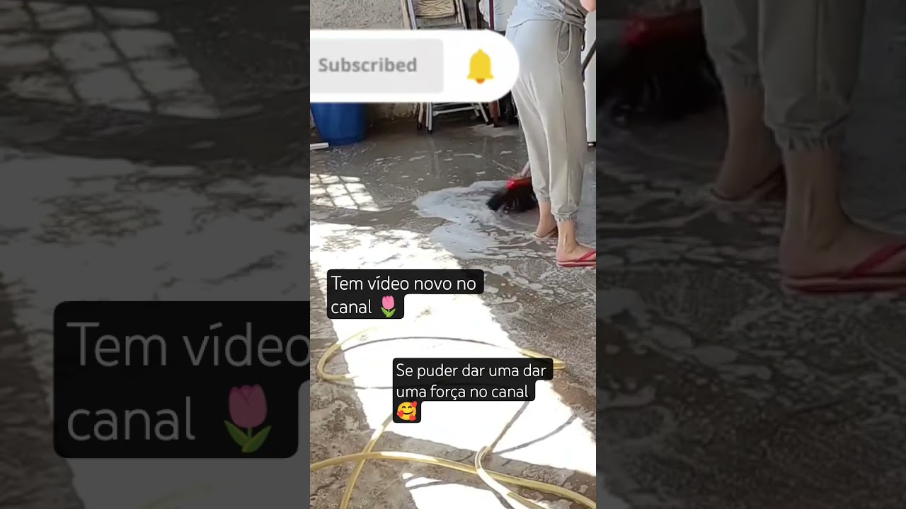#shortsvideo