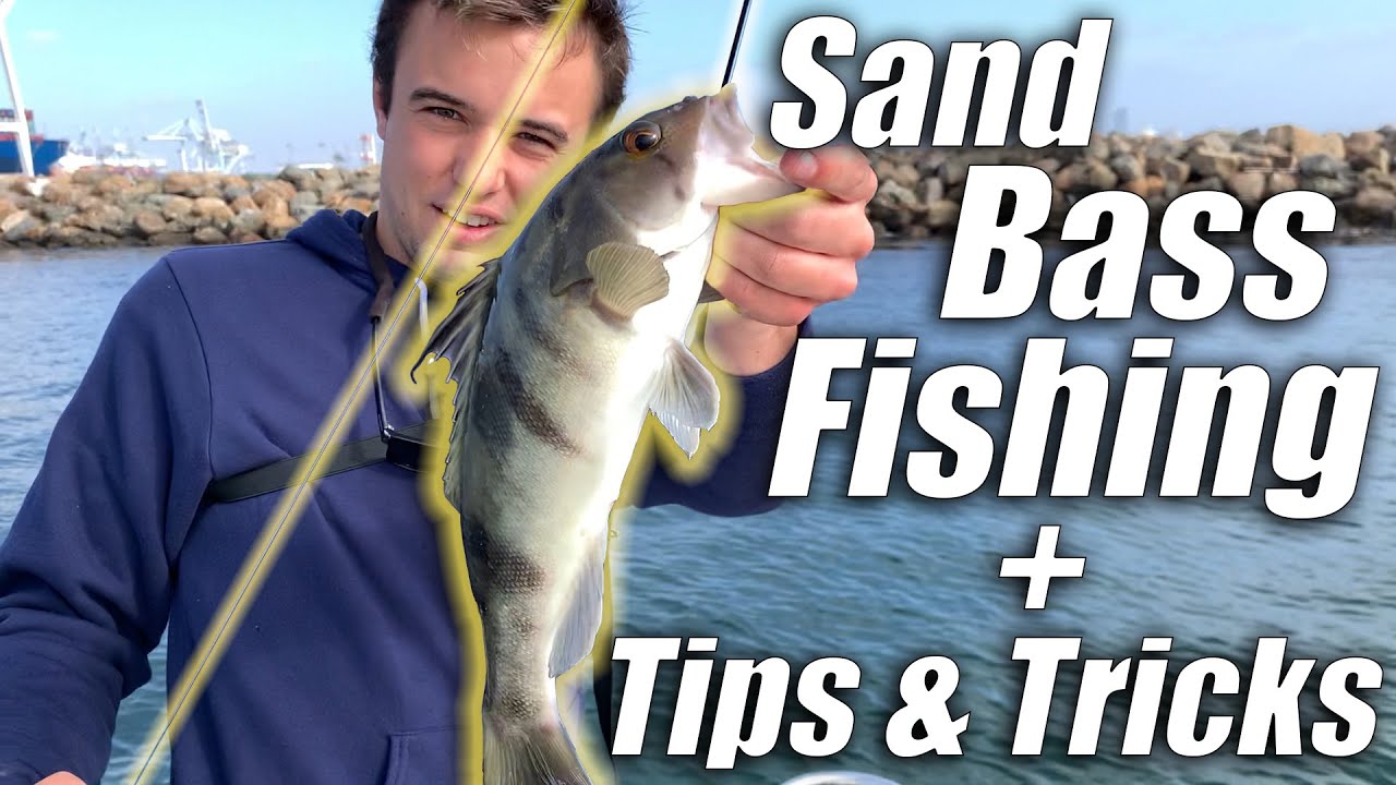 How To FISH SANDBASS (Tips and Tricks)