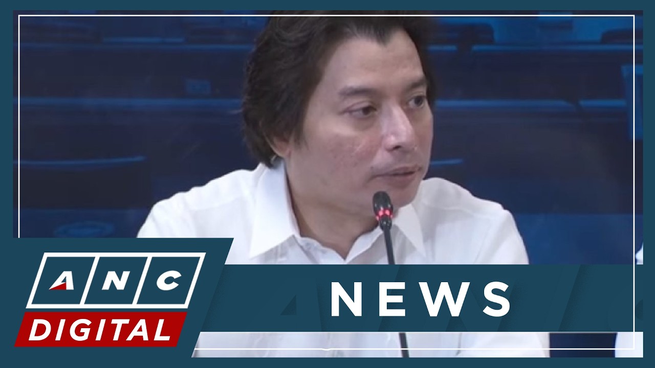 Will VP Sara seek SC help on tax, bank records ruling? Poa says such remedy always possible | ANC