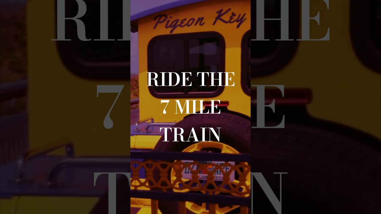 Is the Yellow Train the BEST Way to See Pigeon Key #shorts