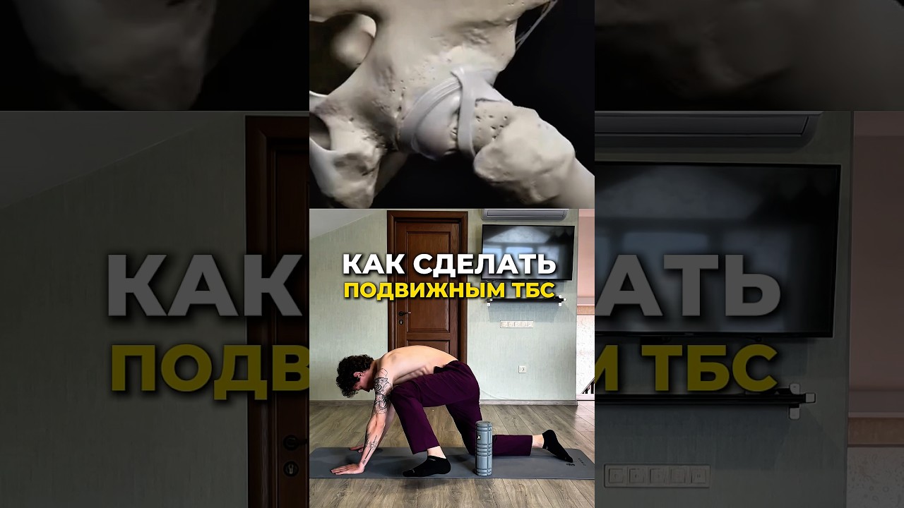 Подвижность ТБС