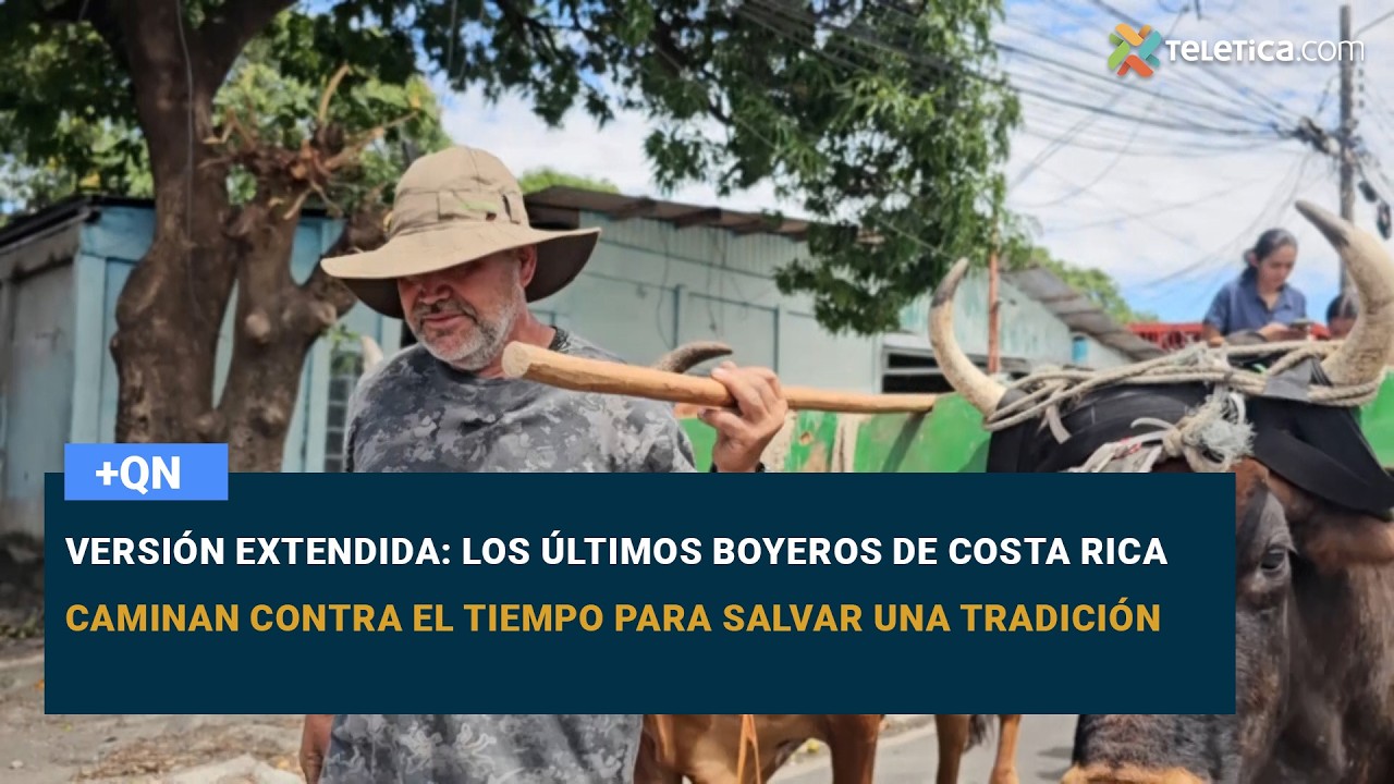 Versión extendida: Los últimos boyeros de Costa Rica caminan contra el tiempo para salvar tradición