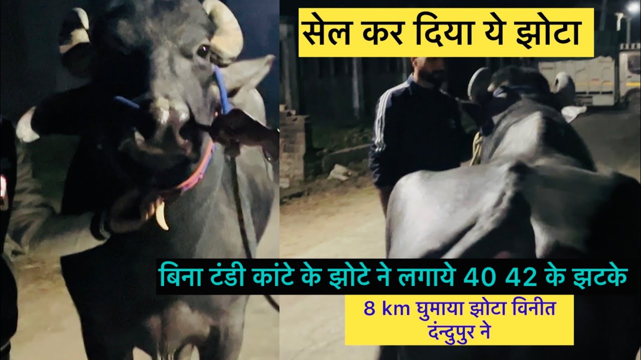 रात को 8 बाजे झोटे ने रोड पर ❤️‍🔥बना दिया माहोल विनीत दंन्दुपुर ने सेल कर दिया ये झोटा 