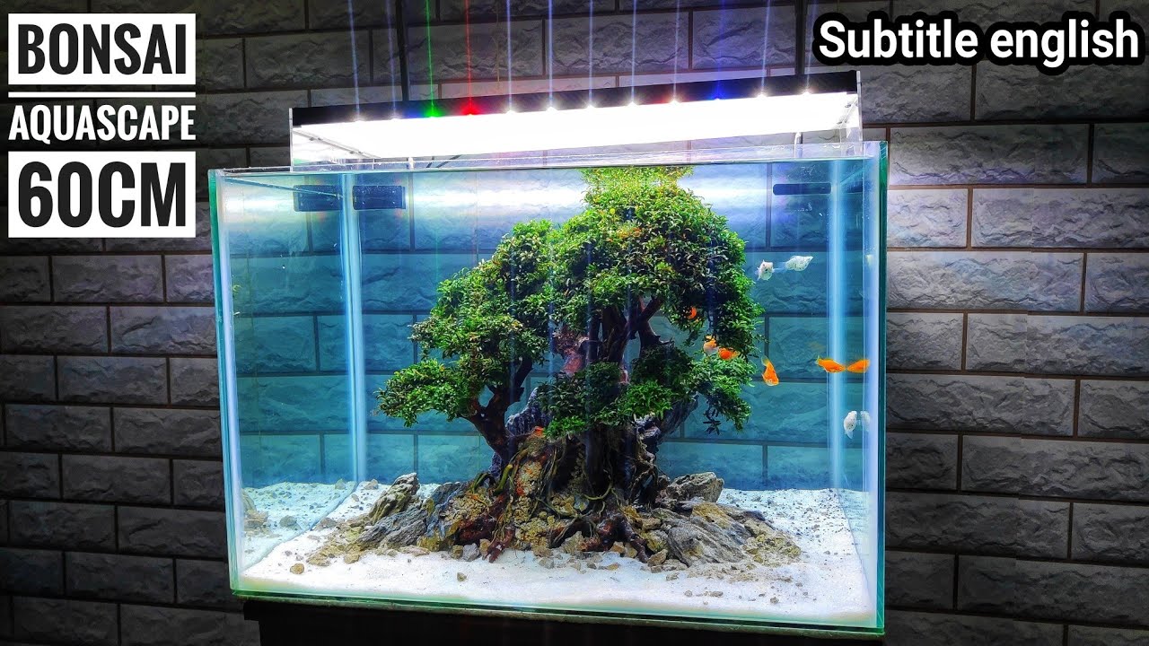 #160 Membuat bonsai Aquascape 60cm model 1