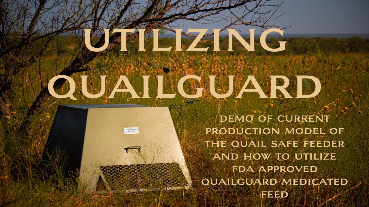 Quail Safe Feeder and QUAILGUARD®