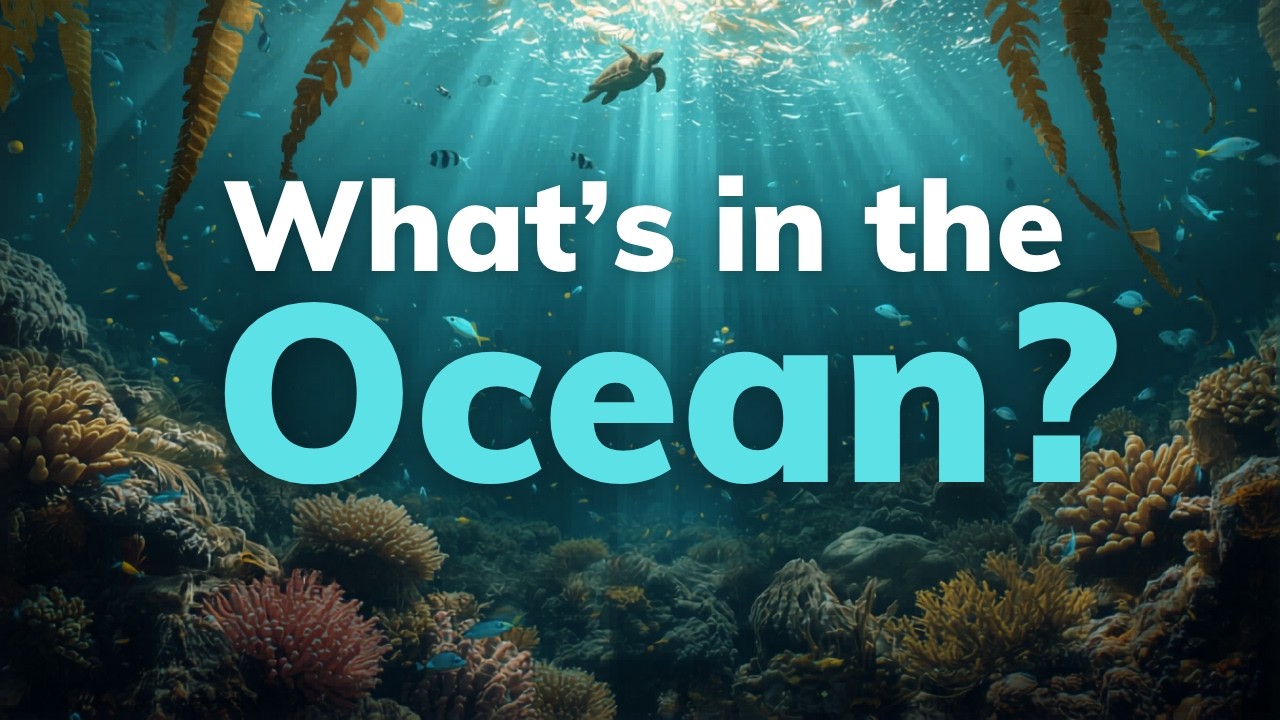 The Deepest Dive! What’s Hiding Inside the Ocean?