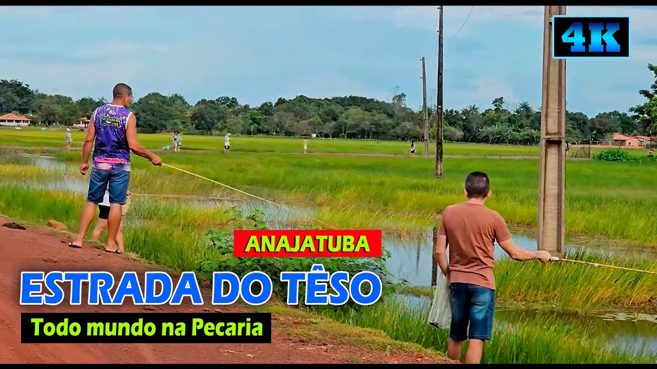 ESTRADA DO TÊSO  |  Anajatuba - Todo Mundo Pescando nos Campos Alagados