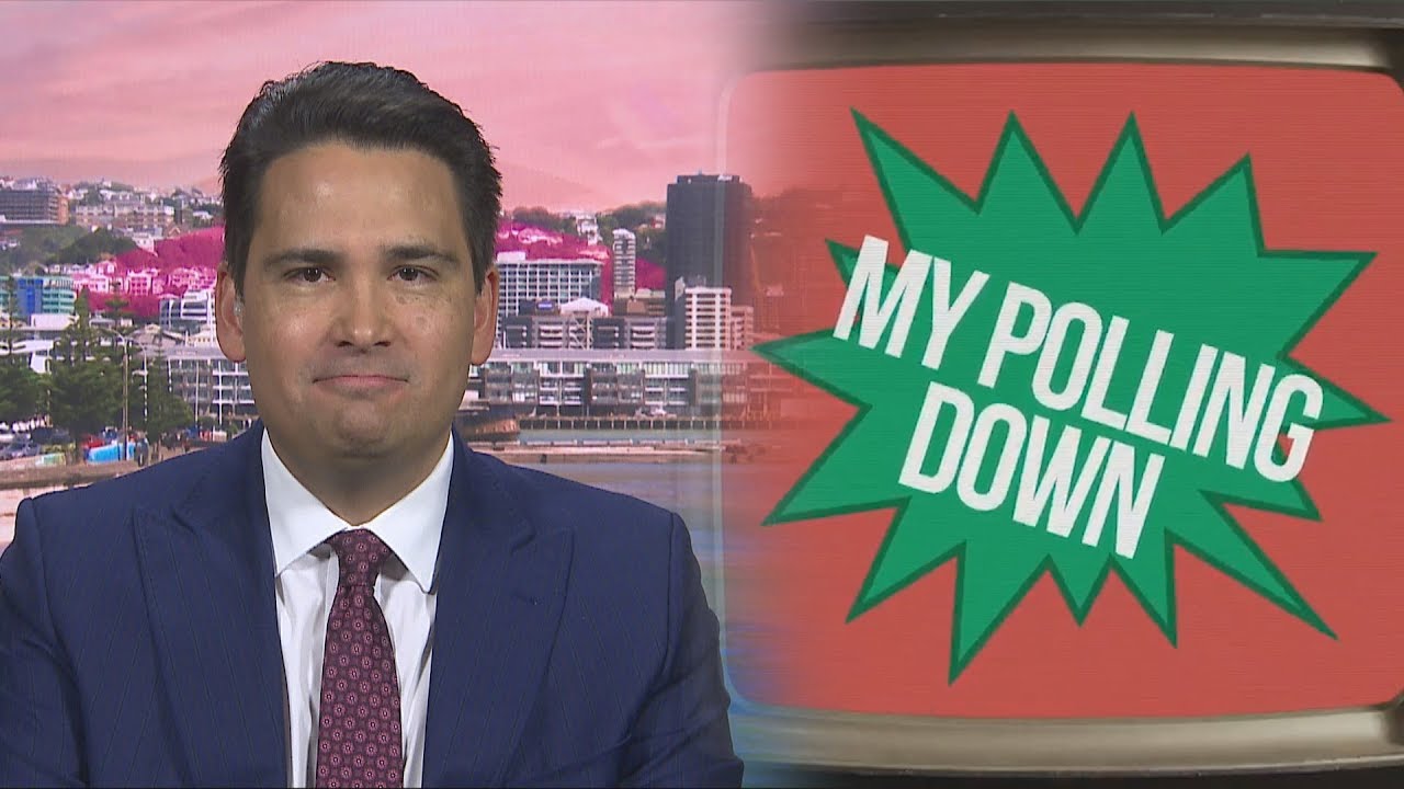 'I'm cool with that' - Simon Bridges likes Greens ad mocking his accent