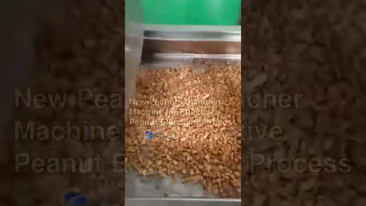 New Peanuts Blancher Machine for Effective Peanut Blanching Process