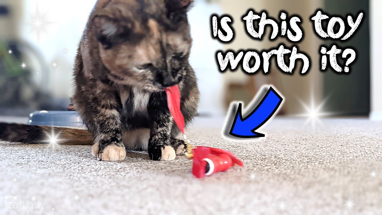 Does this KiTiFiSH cat toy work on carpet? (is it worth it?)