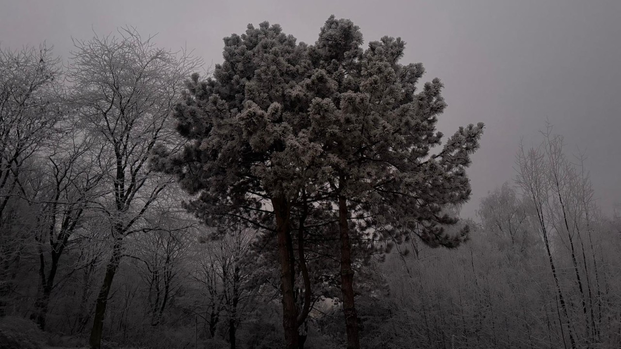 Nature Winter Pictures complex, many pictures switch after a while from the beautiful winter nature