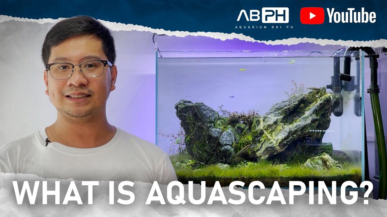 ABPH - What is Aquascaping? [Eng Sub]