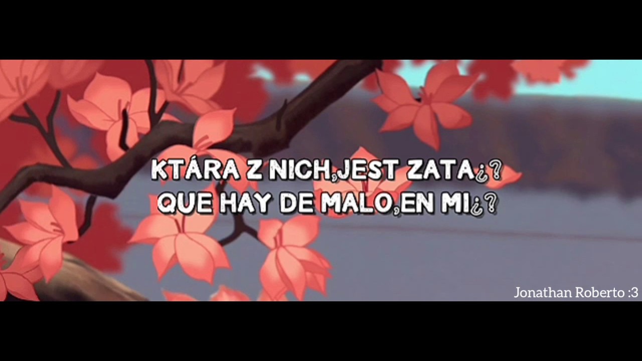 Reflection (Polish S&T Translation) Spanish.