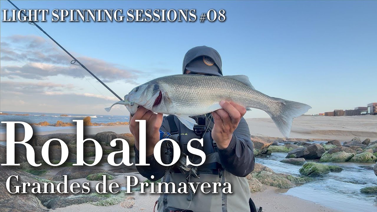 Robalos Grandes de Primavera - LIGHT SPINNING SESSIONS #08