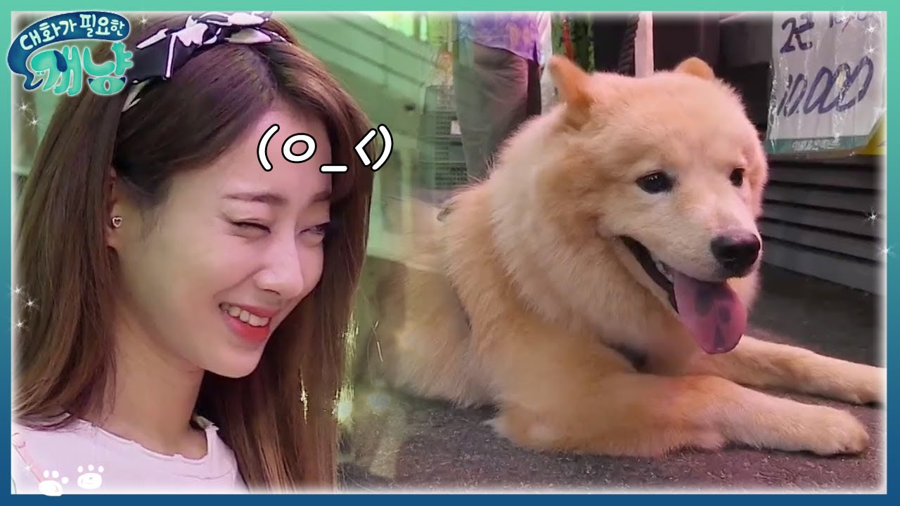 경리X시로 망원시장 정육점 흥정 노하우?! | #대화가필요한개냥 EP4 #06
