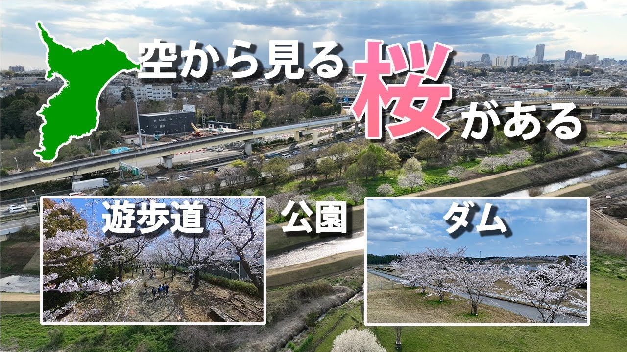 【ドローン・鳥目線】～2025年 美しい千葉の桜たち～