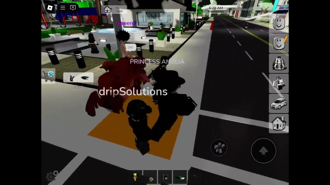 Footage of Brookhaven getting hacked