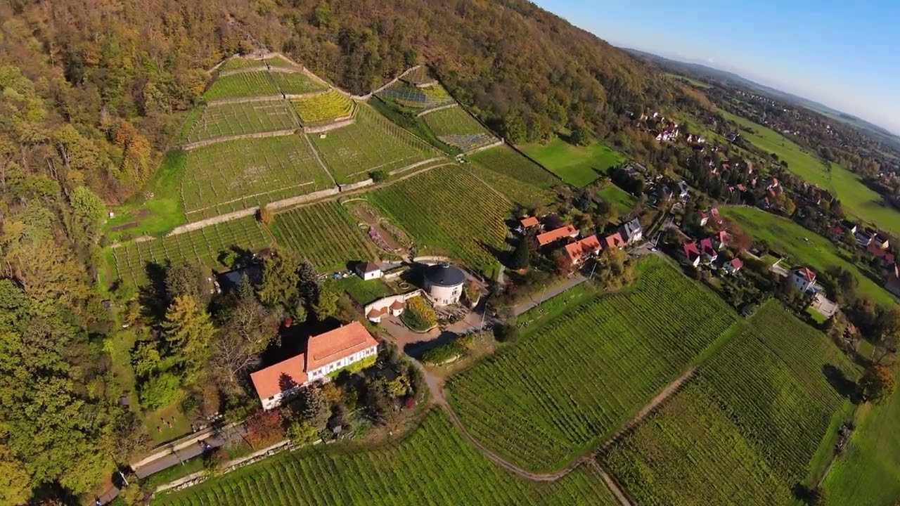 Weinberge Pillnitz