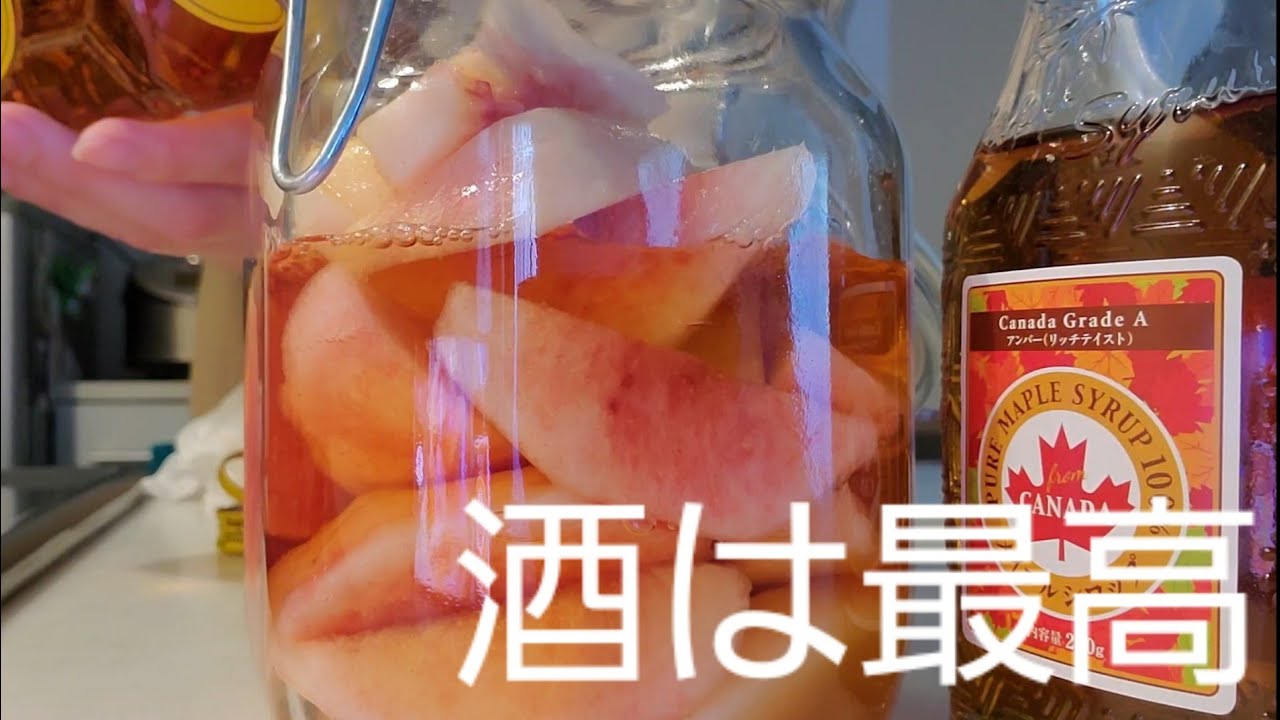 【OLの果実酒の作り方】桃×ウィスキーで最高の酒になるのでオススメ【生活音・AMSR】