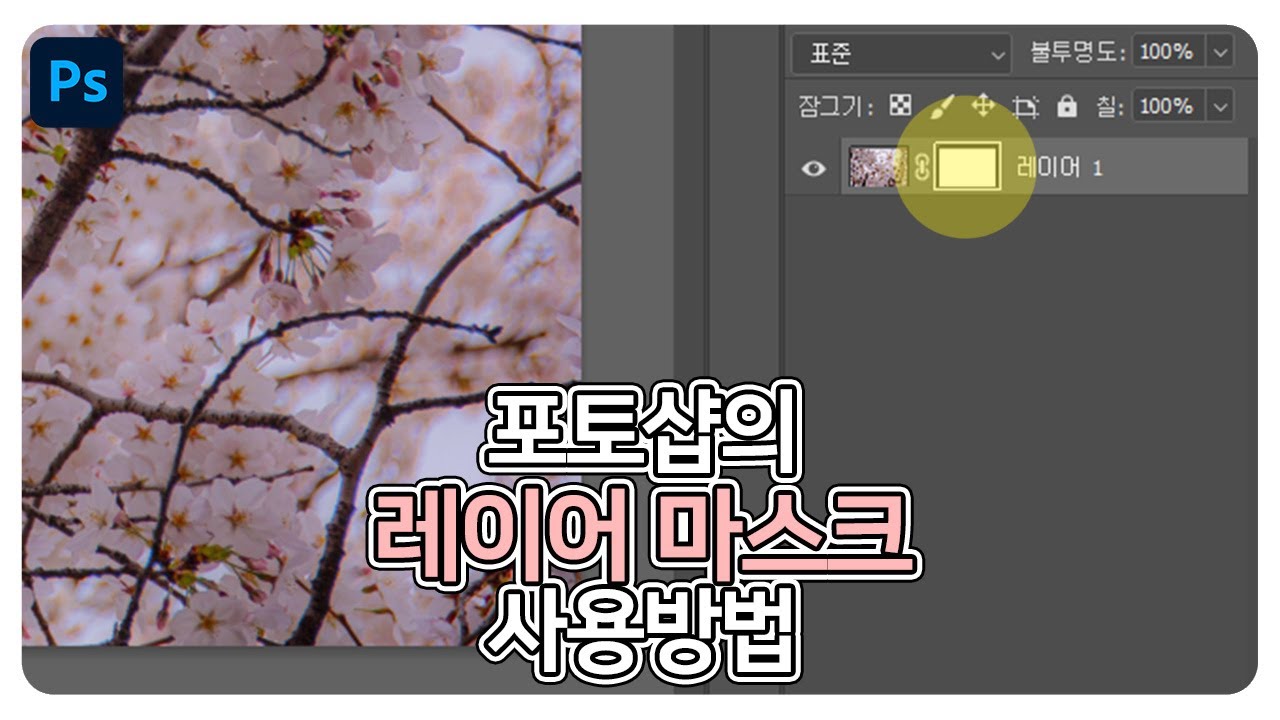 포토샵의 레이어 마스크 사용 방법 알아보기