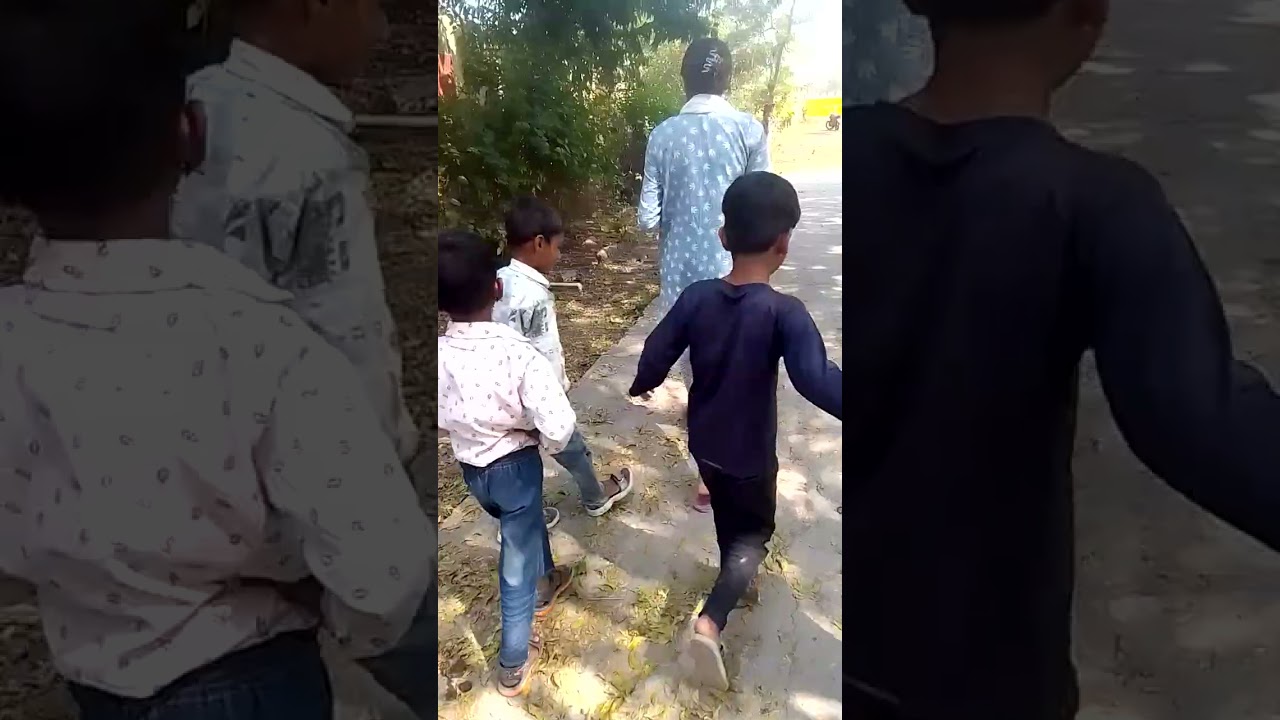 IGNOU DECE-04 PROJECT ACTIVITY-17(गार्डन )