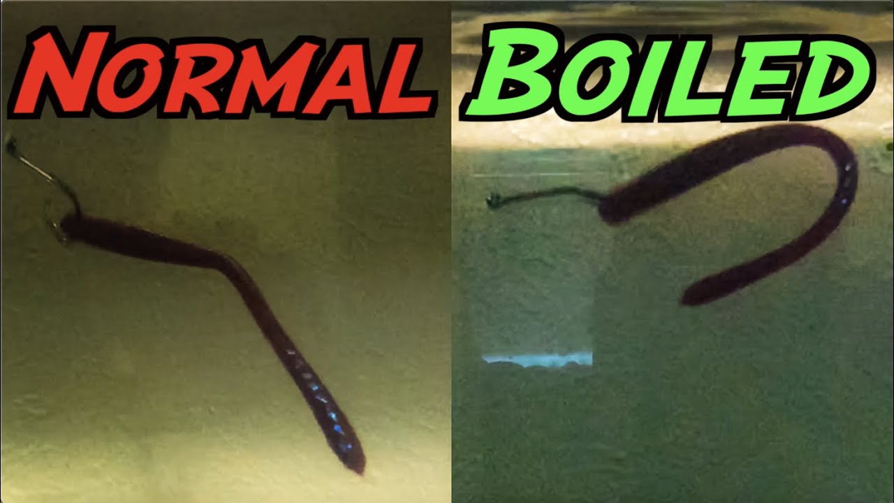 Boiling Soft Plastic Fishing Worms (Does it Work?) - Testing the Myth!